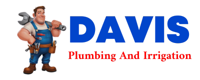 Trusted plumber in COLONY